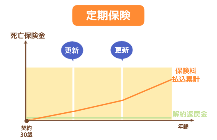 定期保険イメージ