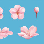 学資保険の保険料は月額いくら？月額保険料の目安と満期保険金額を解説