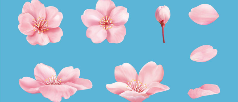 学資保険の保険料は月額いくら？月額保険料の目安と満期保険金額を解説