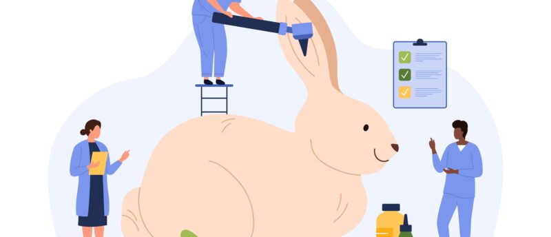 うさぎのペット保険は加入すべき？かかりやすい病気や保険の選び方を解説！