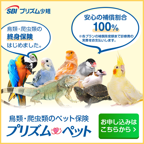 SBIプリズムペット-鳥・爬虫類四角
