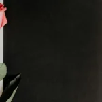 JCBゴールドから憧れのJCBプラチナカードへ！切り替え方法は？