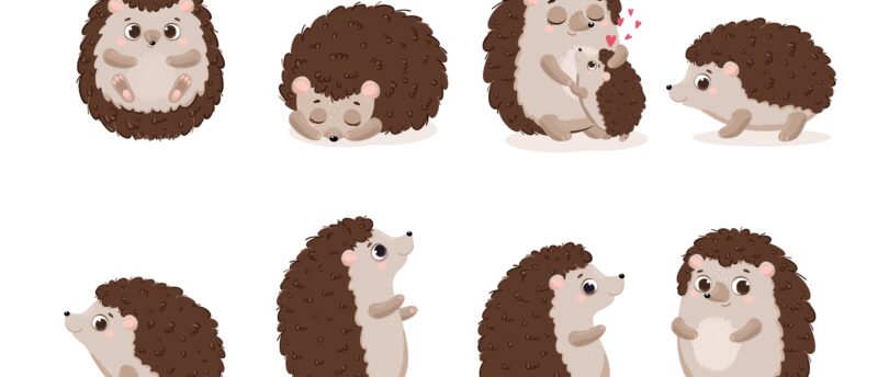 ハリネズミはペット保険に加入できる？かかりやすい病気と保険のメリット