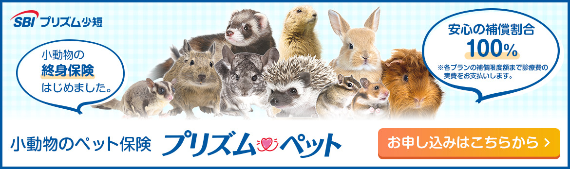 プリズムペット-小動物バナー大
