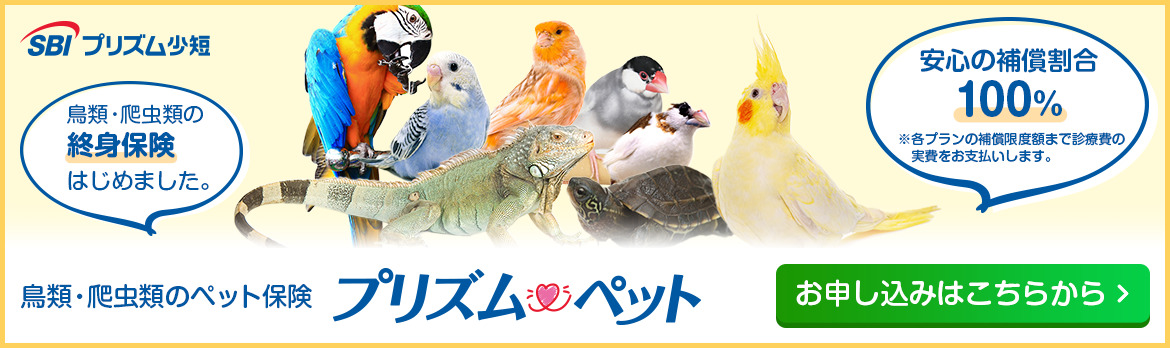 プリズムペット-鳥・爬虫類大