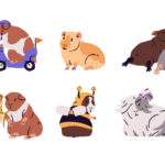 モルモットはペット保険に加入すべき？かかりやすい病気と保険の選び方を解説！