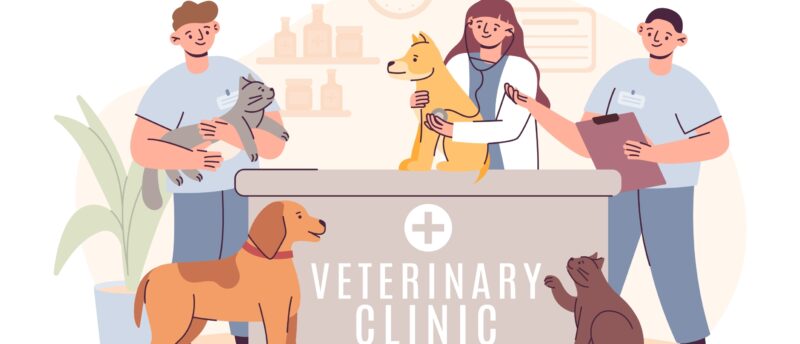 ペット保険の加入は何歳まで？上限年齢と更新条件や加入時の注意点を解説！