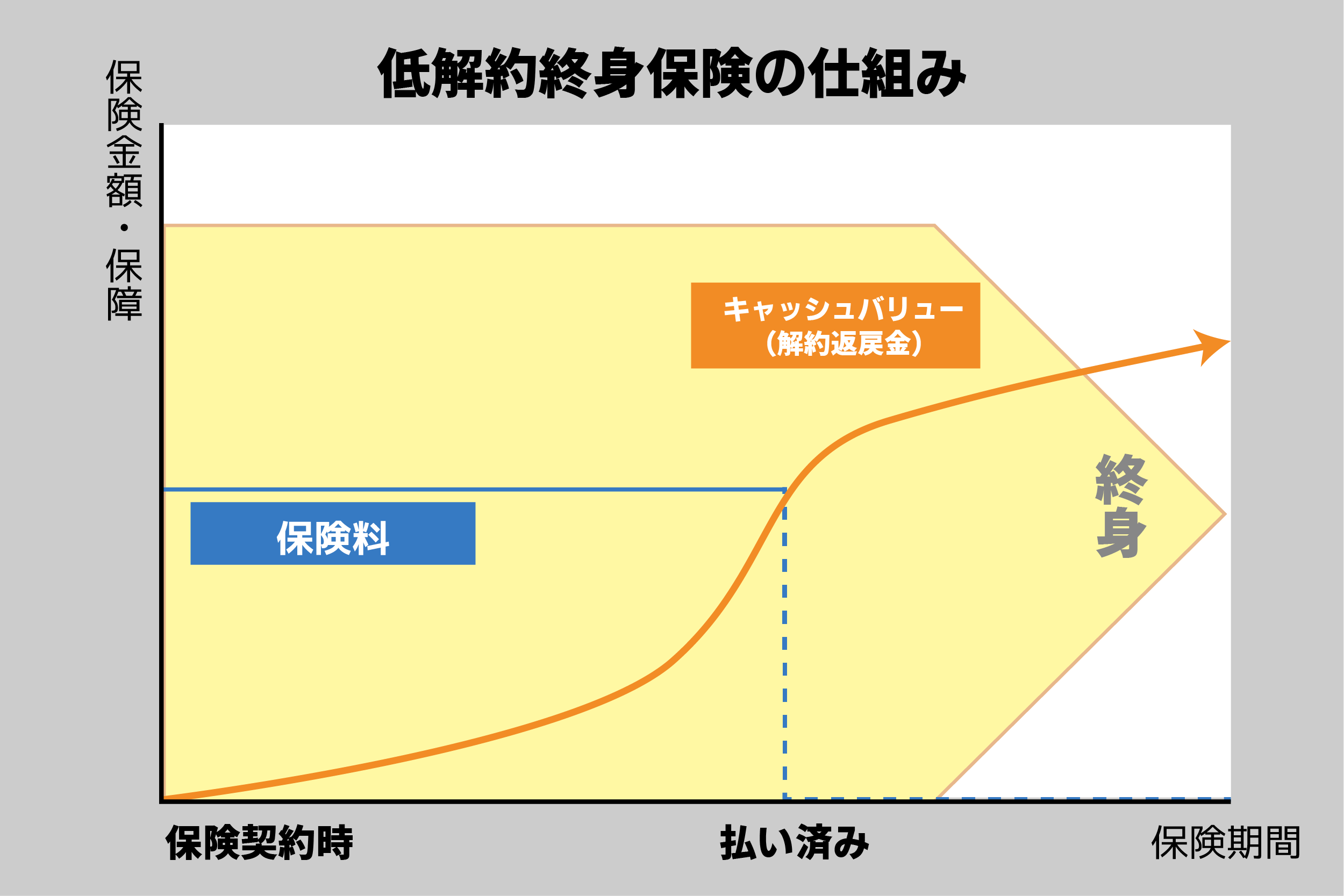 低解約終身保険