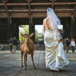 奈良でおすすめの結婚相談所は？奈良の結婚相談所で理想の結婚を目指す