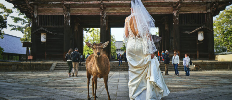 奈良でおすすめの結婚相談所は？奈良の結婚相談所で理想の結婚を目指す
