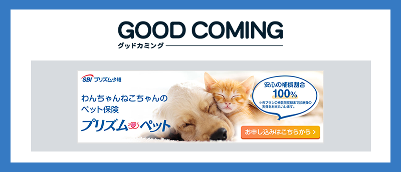 プリズムペットリリース