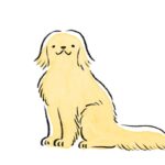 犬がおすわりできないのは病気？疑われる病気と病院に連れて行くべき症状