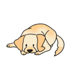 犬の胃捻転とは？胃拡張・胃捻転の原因や症状、早期発見と予防のポイント