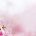 12星座別 2025年4月の運勢【占いの館 千里眼】月間連載