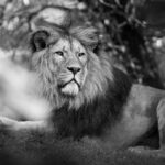 ヒロセ通商はいくらから取引できる？初回入金額と必要資金を徹底解説