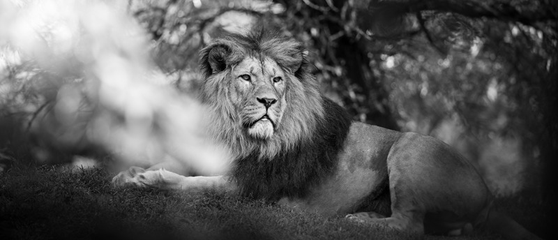 ヒロセ通商はいくらから始められる？初心者向けに徹底解説