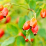 認知症による損害賠償リスクに備えるには？保険の種類と備えておくべきケースを解説