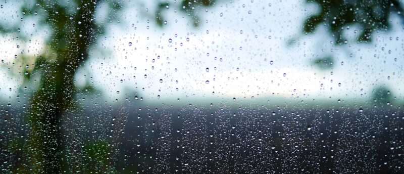 認知症保険は本当に必要？メリットや選び方、加入を検討するべきケースを解説