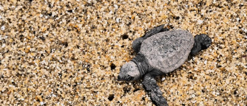 高齢者の債務整理はできるの？年金暮らしでも借金問題を解決するコツ