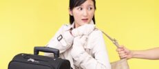 海外旅行保険に盗難補償はある？海外旅行保険の盗難補償と対策で旅行も安心