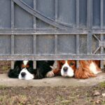 リクルートダイレクトスカウトはバレる？バレるのを防いで転職成功！