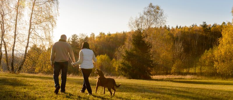 「熟年結婚」って気持ち悪い？偏見の原因と熟年結婚で後悔しないための行動