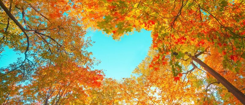 12星座別 2025年9月の運勢【占いの館 千里眼】桂(かつら)先生月間連載