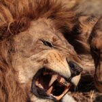 ヒロセ通商の口座開設審査に通らない？落ちる理由と通過のポイントを解説！