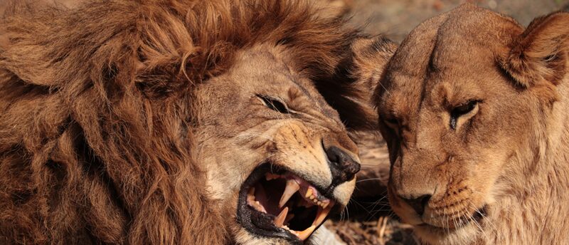 ヒロセ通商の口座開設審査に通らない？落ちる理由と通過のポイントを解説！