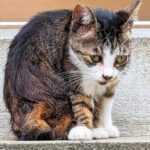 誕生日に誰も祝ってくれない…お互いを大切にし合える相手と出会う方法とは