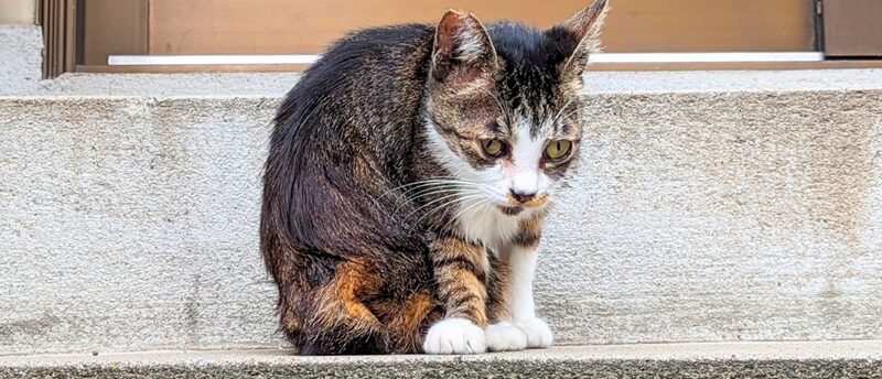 誕生日に誰も祝ってくれない…お互いを大切にし合える相手と出会う方法とは