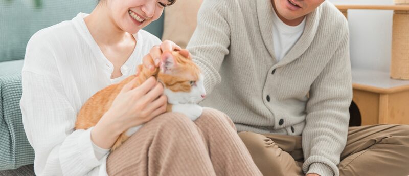 50代の猫好きだからこそ見つかる、心地よい出会いのかたち