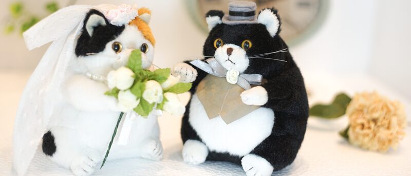 【猫好きさんも利用できる婚活無料相談】猫のいる暮らしを理解し合える相手と出会う方法