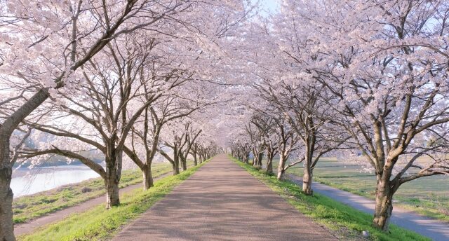 12星座別 2026年4月の運勢【占いの館 千里眼】桂(かつら)先生月間連載